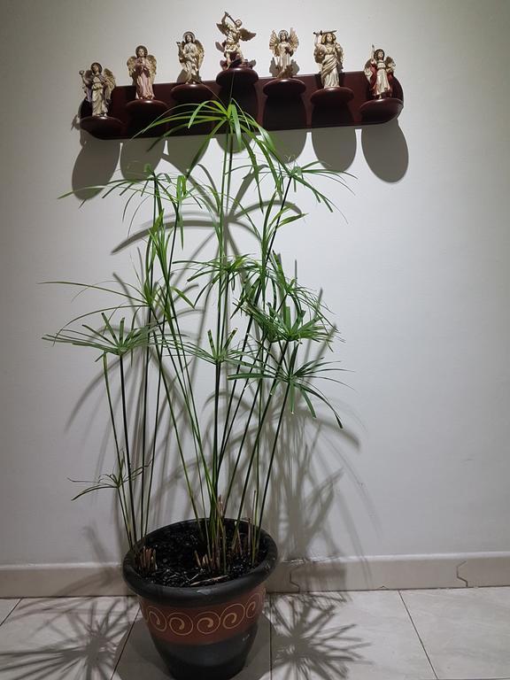 보고타 Tu Hogar Cerca A La Zona T 아파트 외부 사진